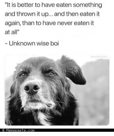 quottt is better to have eaten somethingrnand thrown it upldquo and then eaten itrnagain than to have never eaten itrnat atlldquorn7 Unknown wise botrnldquo lsquornlsquo E 3 L lsquo