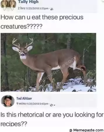 Tally High r hrs r can u eat these precious r r n r n i r n if r n A r nh i r nr s g z r n quot s f y r n r n Gv r nIs this rhetorical or are you looking for r r n r n 