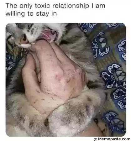 The only toxic relationship I am r to stay in r n t z yen A if r quot quot r n n r n r z r n i u f r ni i quot I by it r ni i r n I quot in ER r n quot r nI quot X r i r n I i C i r n u x quot t r n pl r n r I r n r n in- a quot r n till i- i y ya r n quot if quot l quot quot i r quot r n r n 