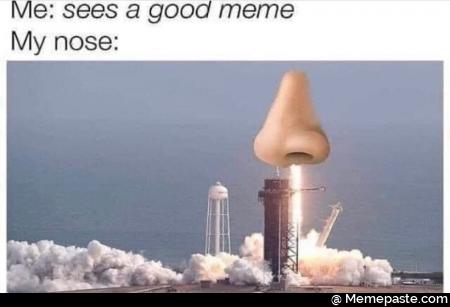 Me sees good nose nit 