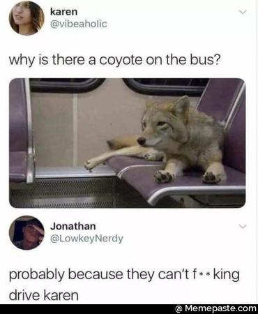 Why is there a coyote on the bus? Probably because they can not drive Karen