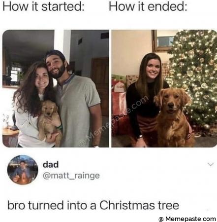 How it started How it ended sect matt turned into tree 