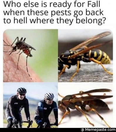 Who else is ready for Fall when these pests go back to hell where they belong?