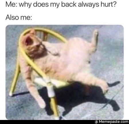 Me: why does my back always hurt? Also me: