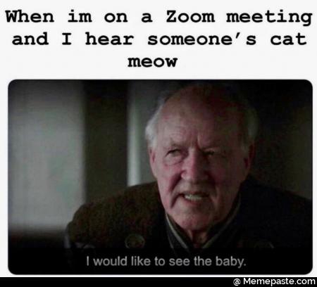 When on Zoom meeting hear someone cat sect would like to see the baby 