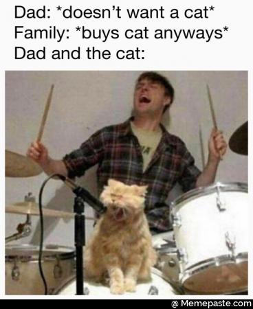 Dad want cat buys cat anyways and the cat ER 
