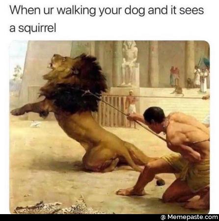 When ur walking your dog and it sees we 