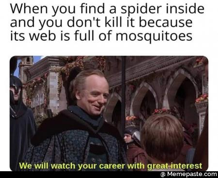 When you find spider inside you don kill it because nits web is full of mosquitoes will watch your career with great interest 