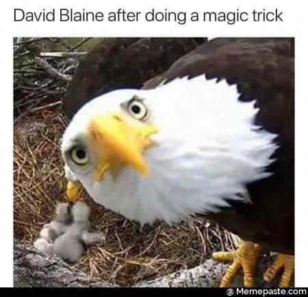 after doing magic trick nY 