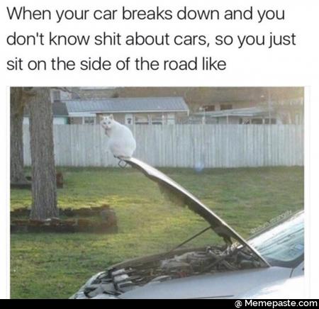 When your car breaks down and you know shit about cars so you just on the side of the road like nu an sect if Tsar li If 