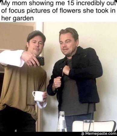 My mom showing me incredibly focus pictures of flowers she took in garden 