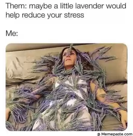 Them maybe a little lavender would r reduce your stress r r nr t 2 r fizz f g r nI r tw I c r nf r gt Yd z r ma r n cent r r n r n 