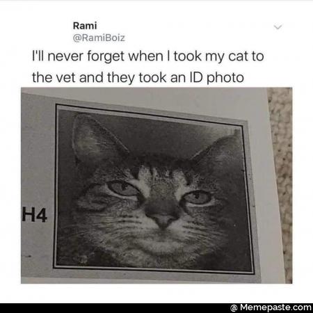 I will never forget when I took my cat to the veterinarian  and they took an id photo