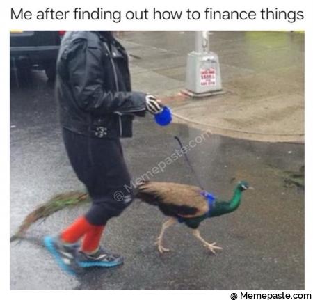 Me after finding out how to finance things sect 