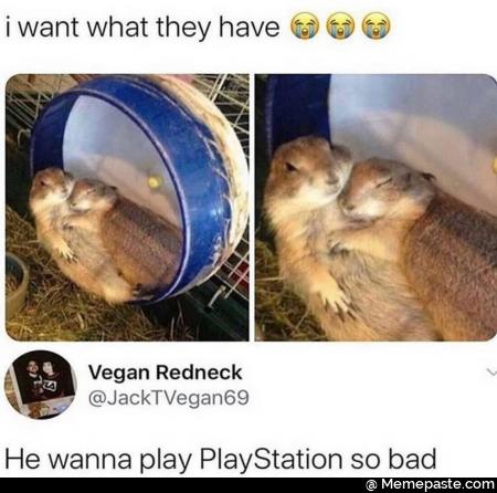 I want what they have he wanna play playstation so bad