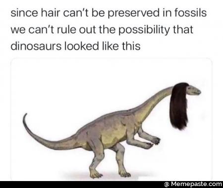 since hair can be preserved in fossils can rule out the that looked like this 