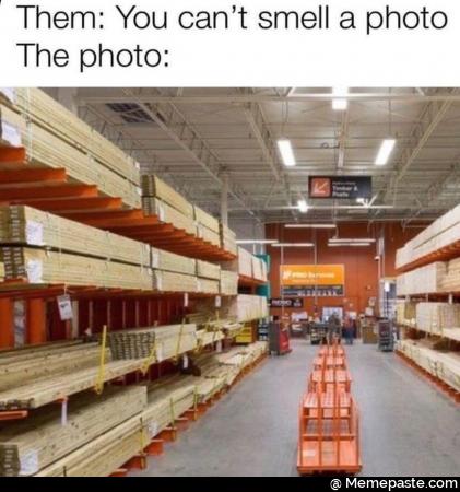 You can not smell a photo