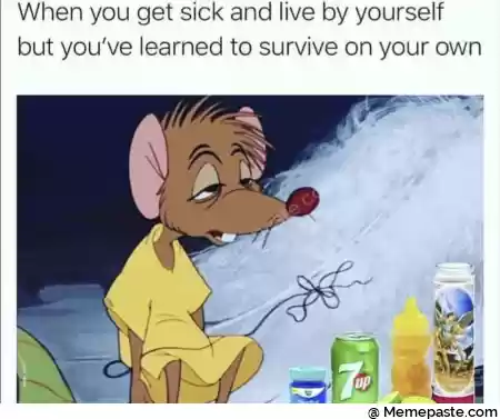 When you get sick and live by yourself r you ve learned to survive on your own r n- r A r n r n r n r n I r n r quot r n r nL M r n r n 