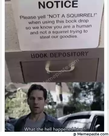 r n- Please yell quot NOT A SQUIRREL quot r n when using this book drop I r quot so we know you are a human l r quot and not a squirrel trying to I r np steal our goodies I r A r n r n r nE I r n n g u r r n quot l a r n v r no it r n quot l A r n What the hell heme r n r n 