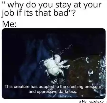 quot why do KOU stay at your r at ba quot r r n t quot r n a x a r h d if h hi U r ns a quot v deg sect ii quot r n r n r n 