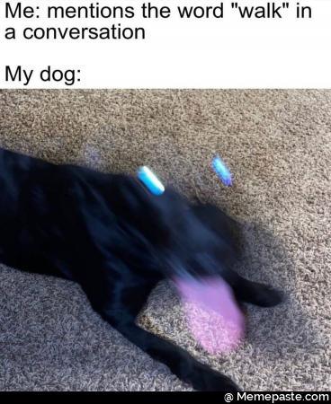 Me mentions the word walk in My dog 