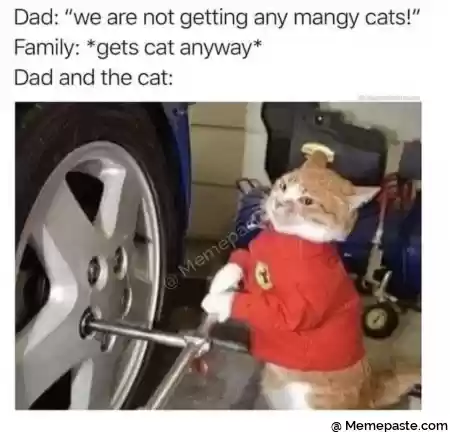 Dad we are not getting any mangy cats r gets cat anyway r and the cat r n r r n t r n if Q r n I r n quot i I r n r n 