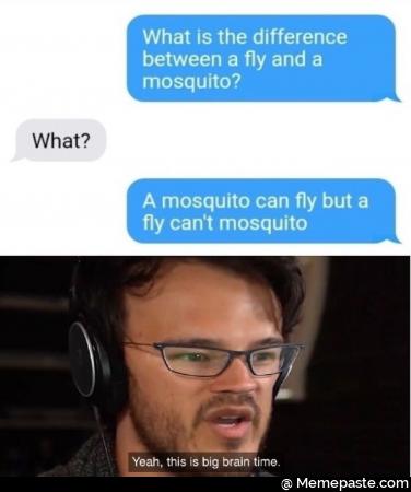 What is the difference between a fly and a mosquito? What? A mosquito can fly but a fly can not mosquito. Yeah, this needs big brain time.