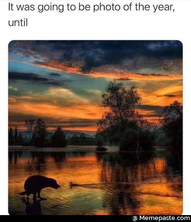 It was going to be photo of the year 