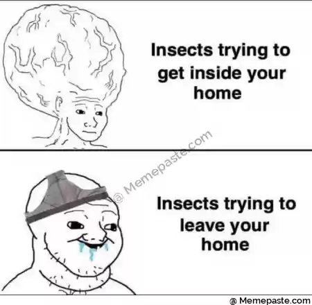 g r gt sect Insects trying to r n lt get inside your r n tc home r r nJ s r n Insects trying to r leave your r n home r n r n 