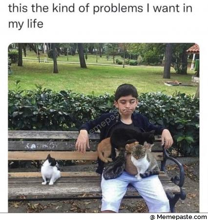 the kind of problems I want In r life r Us quot L k v quot d r n a E gg quot quot quot rg quot I r n I n r n i quot quot rt I v quot quot quot quot i v r r r nm quot v m r n A a a a quot r n quot 2 e r n I I r n V quot quot quot r n H m r n mm L r n- r n r r n T fu V i r n quot 2 l quot r n quot I r na V V r n V gt r n r n 