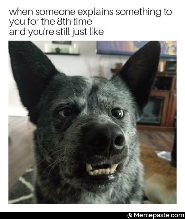 When someone explains something to you for the 8 time and you are still like