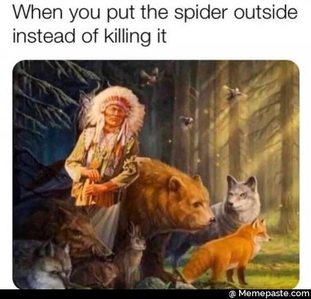 When you put the spider outside of killing it If is 