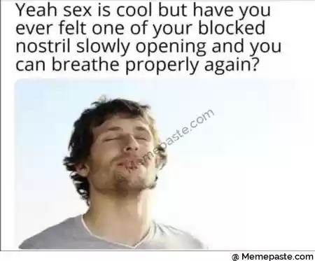 Yeah sex is cool but have you r never felt one of your blocked r slowly opening and you r breathe properly again r ni r n r n r n 