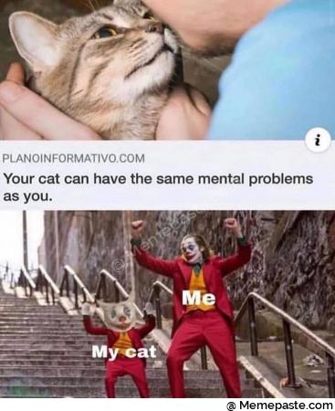 cent IF cat can have the same mental problems nas you cat 