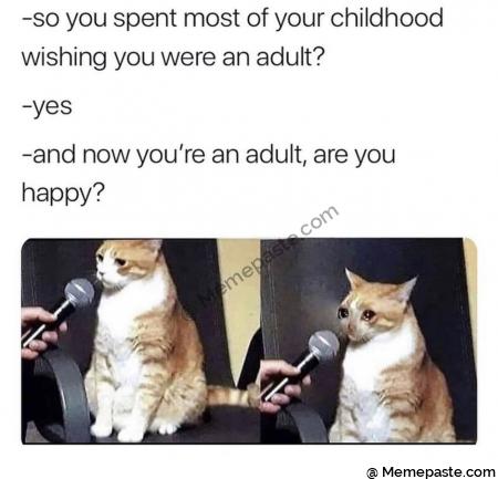 so you spent most of your childhood you were an adult now you re an adult are you at 