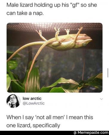 Male lizard holding up his girlfriend so she can take a nap. When I say not all men I mean this one lizard, specially