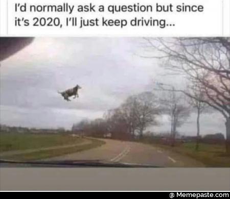 I would normally ask a question but since it is 2020, I will just keep driving