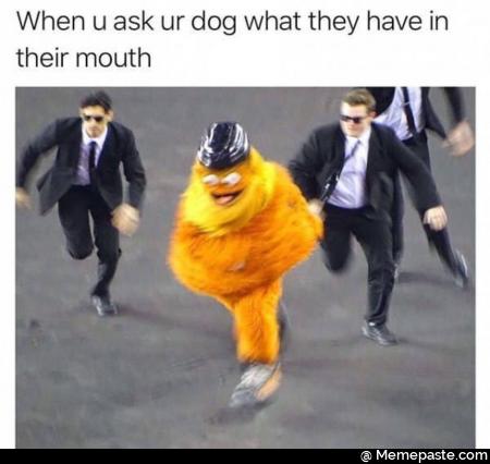 When u ask ur dog what they have in their mouth
