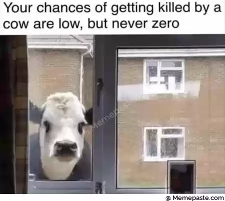 Your chances of getting killed by a r are low but never zero r n quot g r ns W r n W r nI I W r n r n 