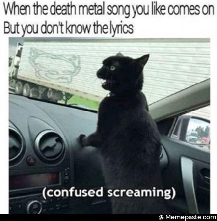When the death metal song you like comes on but you don know the lyrics Confused screaming 