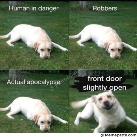 Human in danger Robbers apocalypse front door slightly Open 