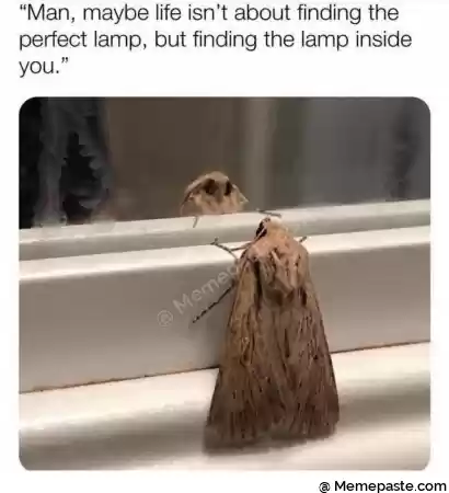 Man maybe life isn t about finding the r lamp but finding the lamp inside r r n r V r n r n 