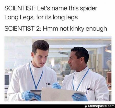 Scientist let name this spider long legs, for its long legs not kinky enough