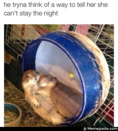 He is trying to think of a way to tell her she cannot stay the night